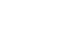 Zenith Logo - White